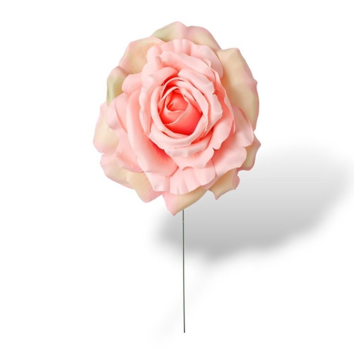 PICK TESTA ROSA ROSA